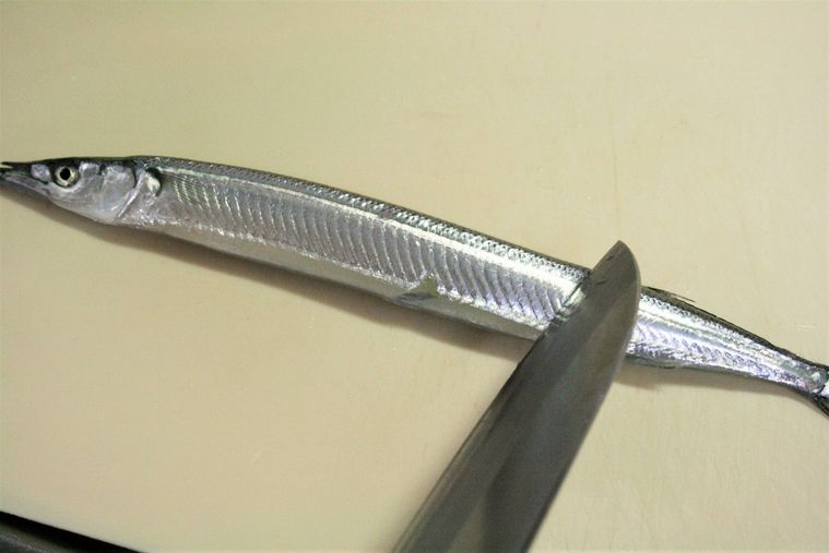 包丁でサヨリのうろこを取っている様子