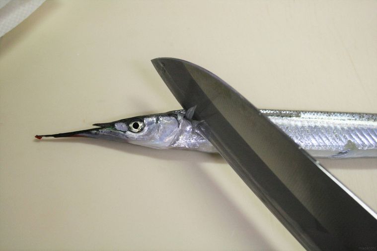 サヨリの頭を切り落としている様子