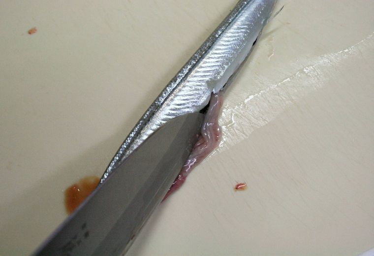 サヨリの内臓を取り出している様子