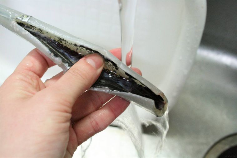 サヨリのお腹の中を水で洗っている様子