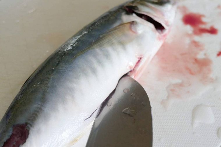 あじのお腹に包丁で切り込みをいれる様子