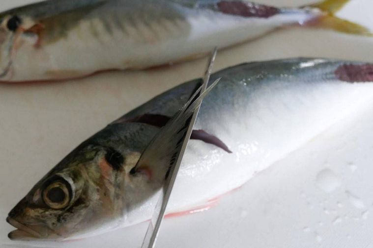 あじに十字の切り込みを入れる様子