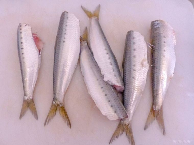 頭とワタを取ったいわしを並べたまな板