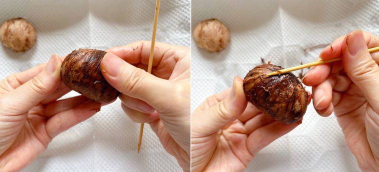 渋皮の繊維をこすって取り除く様子