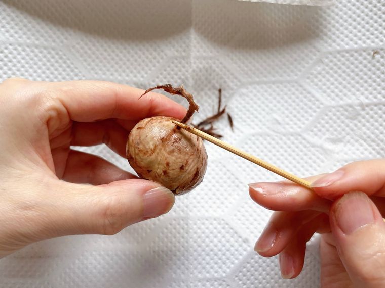 栗の渋皮の繊維を外す様子