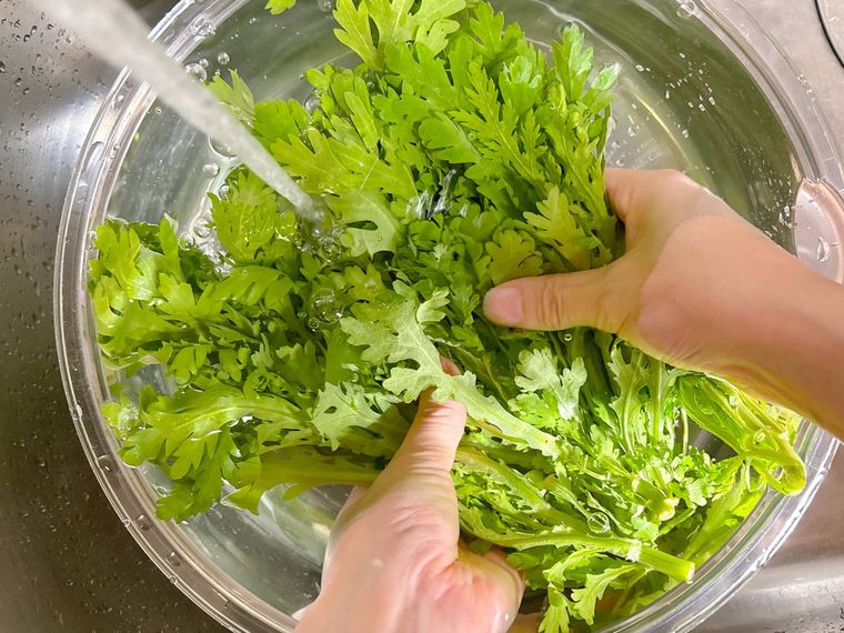 流水で春菊を洗う様子