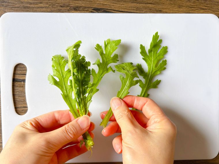 春菊の葉をちぎる様子