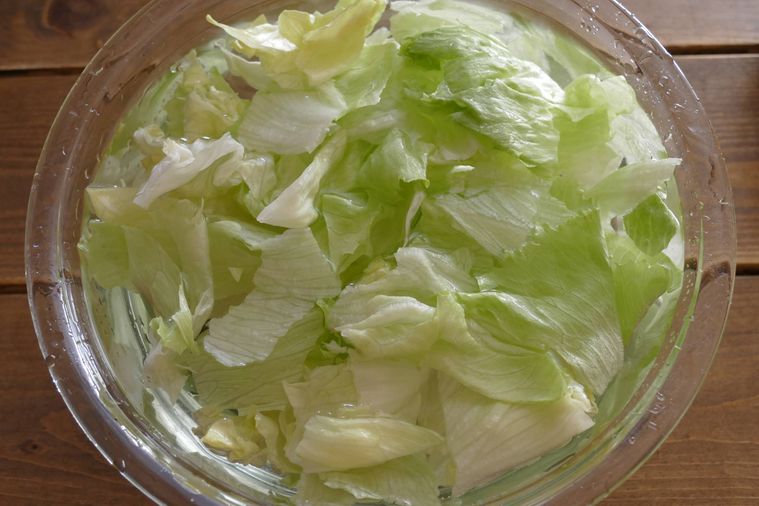 ちぎったレタスを水にさらす様子