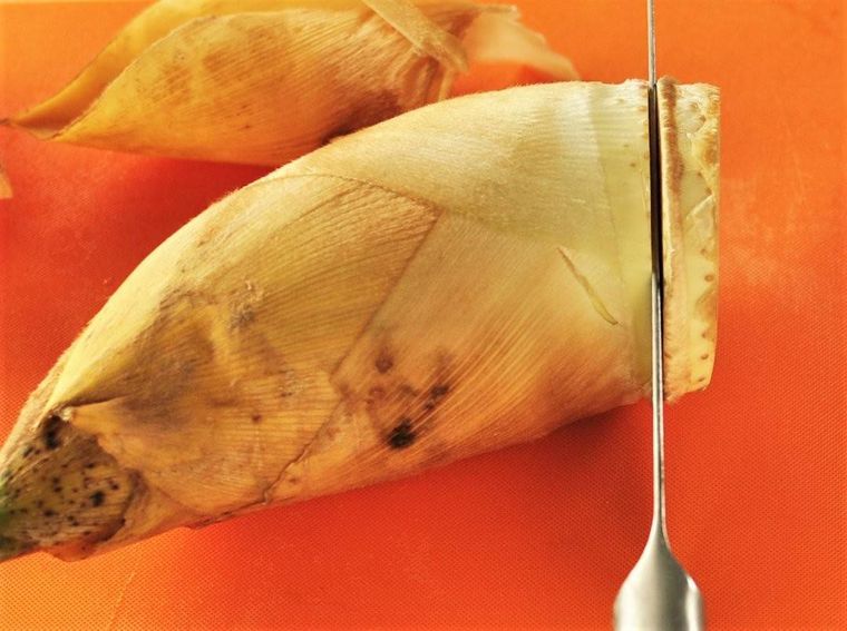 まな板の上でたけのこの根元を切り落としている