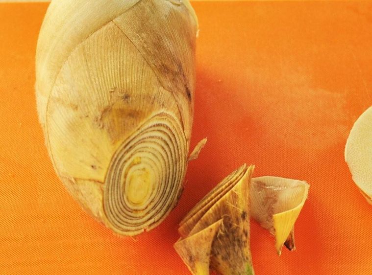 まな板の上で穂先を切り落とされたたけのこ