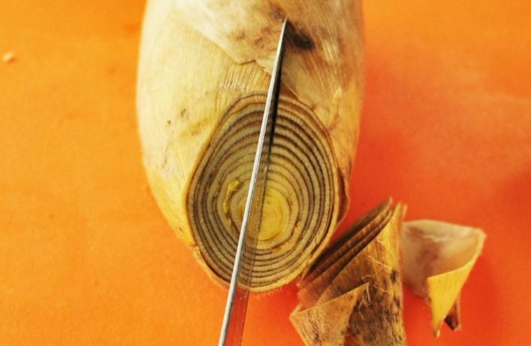 まな板の上で先端部分に切り込みを入れられているたけのこ