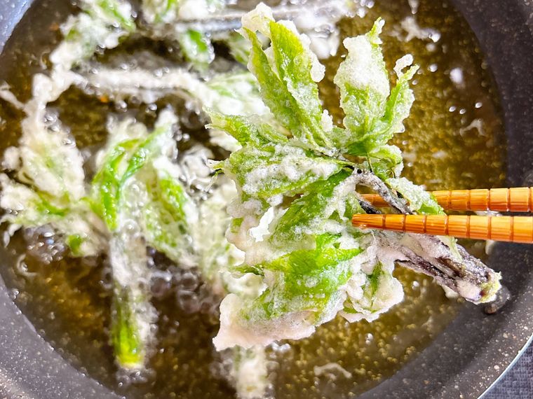 コシアブラの天ぷらを取り出す様子