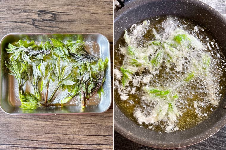 コシアブラを揚げる様子