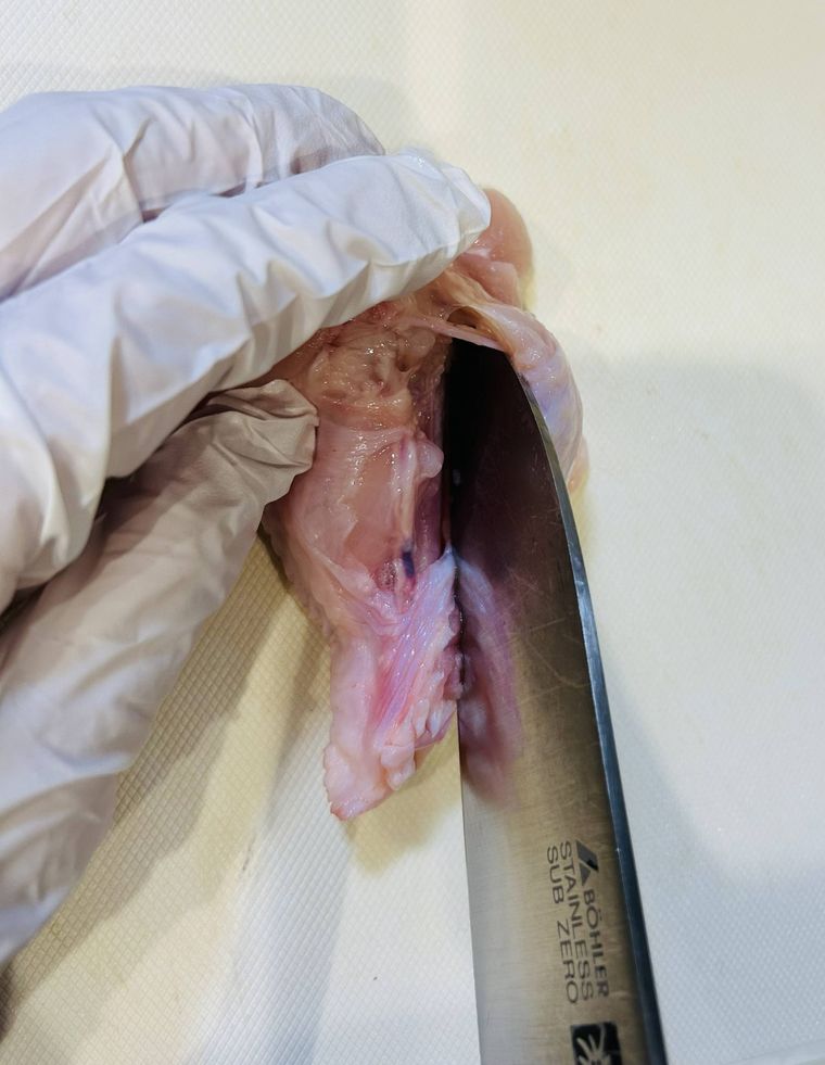 手羽元に切り込みを入れる様子