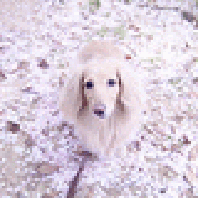 tomo
